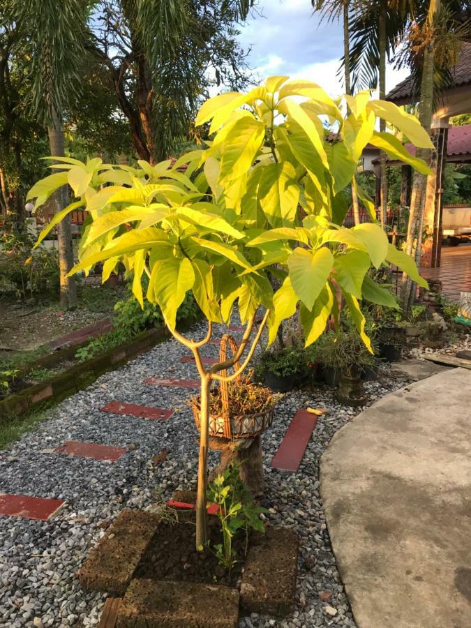 Grandma'S House Apartment Nakhon Nayok Bagian luar foto